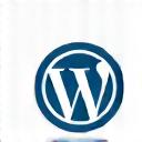 WordPress CMS logo